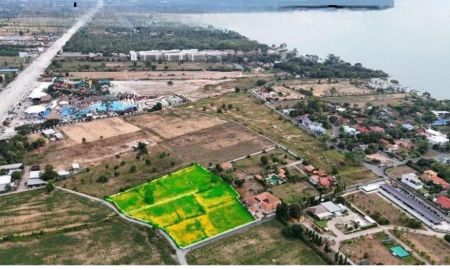 ขายที่ดิน - ขายด่วนที่ดิน นาจอมเทียน 48/1 จังหวัดชลบุรี