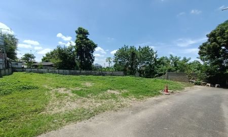 ขายที่ดิน - ขายที่ดินตำบลสันผักหวานหางดงถมดินเรียบร้อยพร้อมโอน