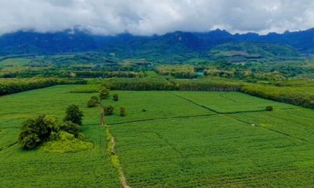 ขายที่ดิน - ขาย ที่ดิน ทองผาภูมิ วิวเขา ต.สหกรณ์นิคม อ.ทองผาภูมิ จ.กาญจนบุรี