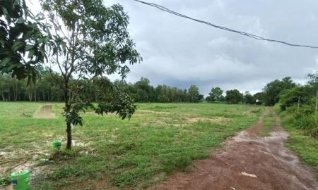 ขายที่ดิน - ขายที่ดินเนินหอม 10 ไร่ ซอยวัดบ่อแร่ใกล้ถนนเส้น2020-300เมตร เมืองปราจีนบุรี