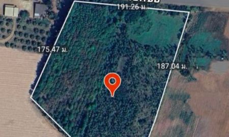 ขายที่ดิน - ขายที่ดินอำเภอเสิงสางจังหวัดนครราชสีมาติดถนนราชสีมาโชคชัย224 บ้านสระประทีป อำเภอเสิงสางอำเภอ จังหวัดนครราชสีมา ขนาดที่ดิน 30 ไร่ 2 งาน