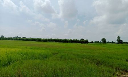 ขายที่ดิน - ขายที่นา 16 ไร่ ไม่ไกลจากตัวเมืองขอนแก่น