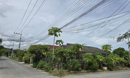 ขายบ้าน - ขายบ้าน พร้อมผู้เช่า (รายเดือน 5,000 บาท) พื้นที่ใช้สอย 280 ตารางเมตร