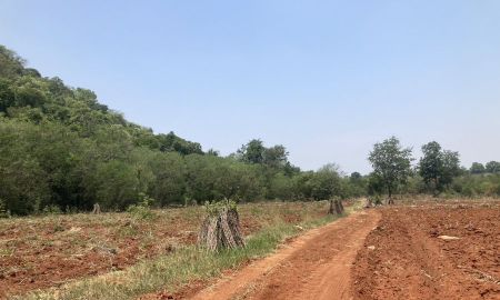 ขายที่ดิน - ขายที่ดินเขาใหญ่ ปากช่อง วิวเขา ใกล้7-Elevenเพีบง 4 กม. จ.นครราชสีมา