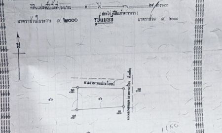 ขายที่ดิน - ขายที่ดินทำเลดีติดภนน อ.ควนเนียง จ.สงขลา