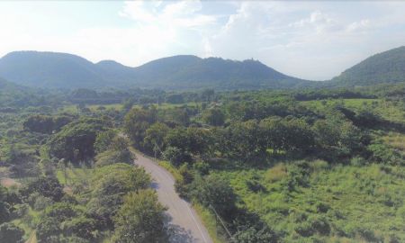 ขายที่ดิน - ขายด่วน ที่ดินลำพูน 6ไร่กว่า 3 ล้านบาท ป่าซาง ที่ดินติดถนนลาดดำ สวนลำไย มีบ่อปลา มีบ้านพัก มีไฟฟ้า บ้านมะกอก ใกล้ พระบาทตากผ้า ใกล้โรงพยาบาลป่าซาง