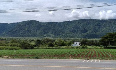 ขายที่ดิน - ขายที่ดินเขาใหญ่ ติดถนน3052 หมูสี ปากช่อง ที่ดิน 4 ไร่ติดถนนใหญ่ ใกล้ธนะรัชต์ ทางไปทอสคานา โป่งตาลอง ใกล้คีรีมายา วิวอุทยานเขาใหญ่สวยมาก บ้านเลือดไทย