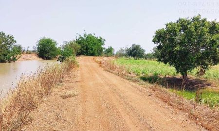 ขายที่ดิน - ขายที่ดิน 7ไร่ ชัยนาท ติดคลองน้ำยาว เห็นวิวเขาสวย เหมาะทำสวน ทำเกษตร เลี้ยงสัตว์ ขายราคาถูก