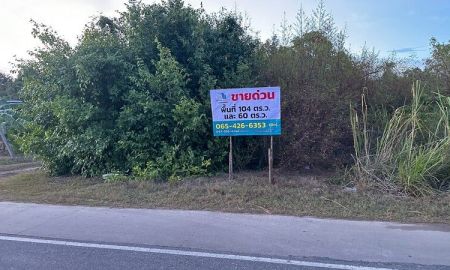ขายที่ดิน - ขายที่ดินจัดสรรแล้ว 60 ตรว. ด้านหน้าติดถนนหลัก ด้านข้างติดถนนซอย อ.สัตหีบ จ.ชลบุรี