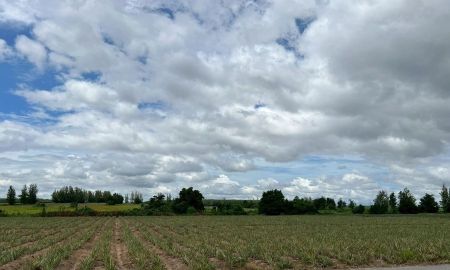 ขายที่ดิน - ขาย ที่ดิน 86-0-42 ไร่ ติดถนนทางหลวงชนบทหมายเลข 3083 ผังสีม่วง ใกล้นิคมโรจนะชลบุรี 2 (บ่อวิน 2)