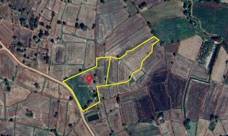 ขายที่ดิน - ขายที่ดิน บ้านยางเครือ ตำบลกุดน้ำใส อำเภอจัตุรัส ชัยภูมิ เนื้อที่ 16-1-31 ไร่