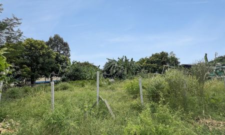 ขายที่ดิน - ที่ดิน วัดบางไกรใน-ตะระเก (2 ไร่ 3 งาน 36 ตร.ว.) ทำเลดีเดินทางสะดวก ใกล้เซ็นทรัล เวสต์วิลล์