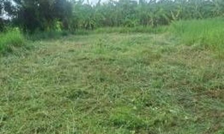 ขายที่ดิน - ขายด่วน ที่ดินเปล่าถมเล้ว ติดถนนสาธารณะ หลังมหาวิทยาลัยราชมงคลคลอง 6 ธัญบุรี