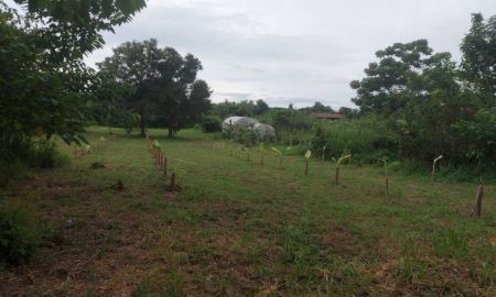 ขายที่ดิน - ขายที่ดินเปล่า 4-3-64 ไร่ อำเภอนากลาง จังหวัดหนองบัวลำภู