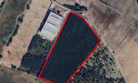 ให้เช่าที่ดิน - ที่ดินสวยให้เช่า พื้นที่ 20 ไร่ ติดถนน ใกล้ถนนมอเตอร์เวย์ สาย 7 พัทยาชลบุรี เขตหนองแขวะ ตำบลบึง อำเภอศรีราชา ชลบุรี