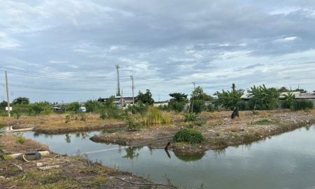 ขายที่ดิน - ขายที่ดินเปล่า 2 ไร่ 2 งาน หน้ากว้าง 67 เมตร ยาว 60 เมตร ถมแล้ว แบ่งขาย ติดถนน ทำเลดี บางขุนเทียน กรุงเทพฯ