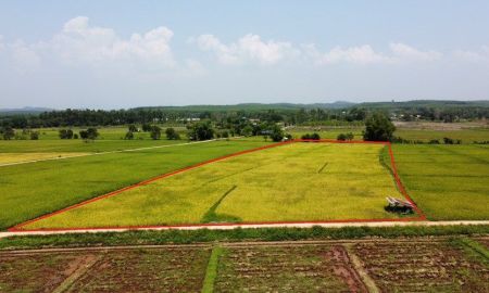 ขายที่ดิน - ที่ดินที่นาวิวดอนใกล้ชุมชน ที่ดิน5ไร่ เวียงป่าเป้า แม่ขะจาน เชียงราย