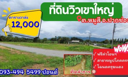 ขายที่ดิน - ขายที่ดินสุดสวย ทำเลยอดนิยม ต.หมูสี | วิวเขาใหญ่ | ติดลำธาร 350 วา.มี8 แปลง| เริ่มตร.วา@ 12,000 บ.