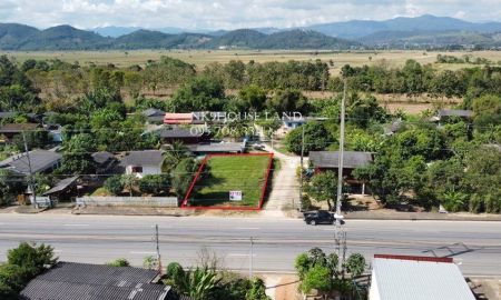 ขายที่ดิน - ที่ดิน ติดถนนเอเชีย 118 เชียงราย เชียงใหม่ อ.เวียงป่าเป้า จ.เชียงราย