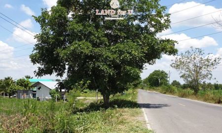 ขายที่ดิน - ขายที่ดินสระบุรี วิวเขา ติดถนน ทำเลดีมาก ต.วังม่วง อ.วังม่วง จ.สระบุรี