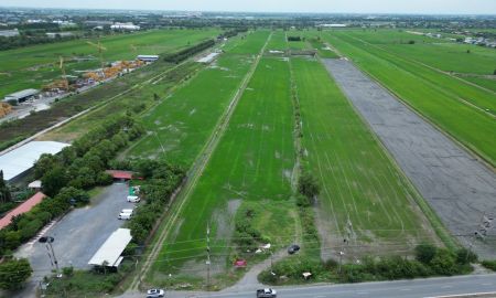 ขายที่ดิน - ขายที่ดิน 2 แปลง ติดถนนลำลูกกา (คลอง 9) อำเภอลำลูกกา จังหวัดปทุมธานี