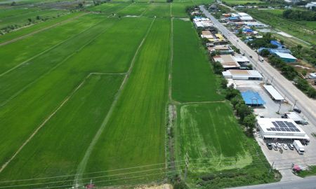 ขายที่ดิน - ขายที่ดิน 123-0-51.2 ไร่ ติดถนนลำลูกกา (คลอง 11) จังหวัดปทุมธานี