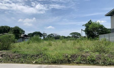 ขายที่ดิน - ขายด่วน ที่ดินเปล่า ถนนพัฒนาการตัดใหม่ ซอยพัฒนาการ 95 ห่างจากถนนเพียง 130 เมตร