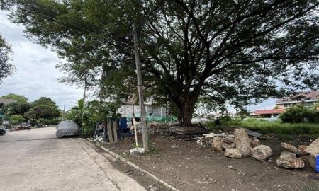 ขายที่ดิน - ขายที่ดินซอยท่าอิฐ (รหัสทรัพย์ 202528) ต.ท่าอิฐ อ.เมืองนนทบุรี จ.นนทบุรี