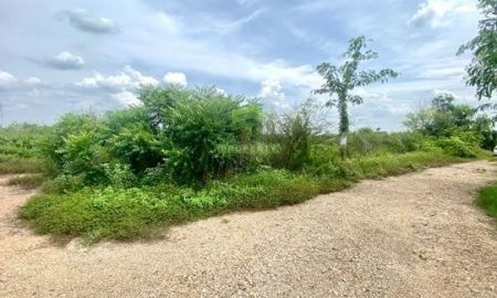 ขายที่ดิน - ขายที่ดินบ้านนา นครนายก เนื้อที่ 78 ตร.ว แปลงสวย ใกล้วัดคลอง31 ราคาถูก