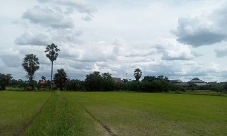 ขายที่ดิน - ที่ดินเปล่ากลางไร่ ขายเท่าประเมิน เขาย้อย เพชรบุรี (ลงทุน+เกษตร)