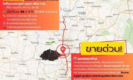 ขายที่ดิน - ขายที่ดินติดถนน เแปลงใหญ่สวย ติดถนนสาย 347 ปทุมธานี-บางปะหัน ต.บางประแดง อ.บางประอิน จ.พระนครศรีอยุธยา กม. 29-30