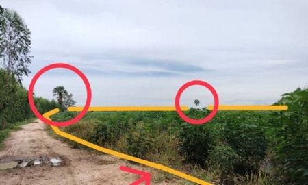 ขายที่ดิน - ขายที่ดิน ซอย บ้านหนองไทร ต.บ้านไร่ อ.ลาดยาว จ.นครสวรรค์ 34 ไร่ โฉนดครุฑแดง เจ้าของขายเอง