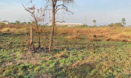 ขายที่ดิน - ขายที่ดินหนองขาม ศรีราชา ราคาดี เขตพื้นที่อุตสาหกรรม