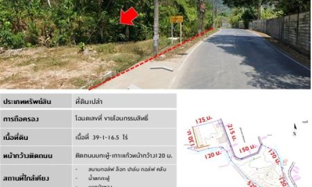 ขายที่ดิน - ขายที่ดินกะทู้-ป่าตอง (ภูเก็ต) เนื้อที่ 39-1-16.5 ไร่ ติดถนนสายกะทู้-เกาะแก้ว