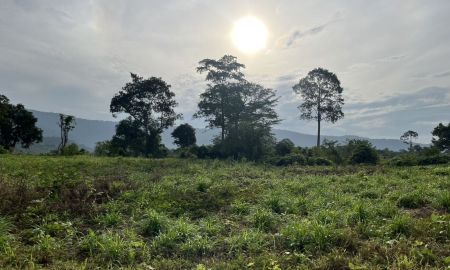 ขายที่ดิน - ขายที่ดินวิวเขาชัด ติดคลองธรรมชาติ เนื้อที่ 3 ไร่ ต.เขาพระ มีโฉนด ถมแล้วเต็มพื้นที่