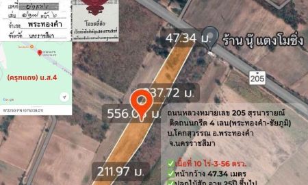 ขายที่ดิน - ติดถนนใหญ่ 4 เลน (พระทองคำ-ชัยภูมิ) โคราช ติดถนนหลวง 4 เลน (205)