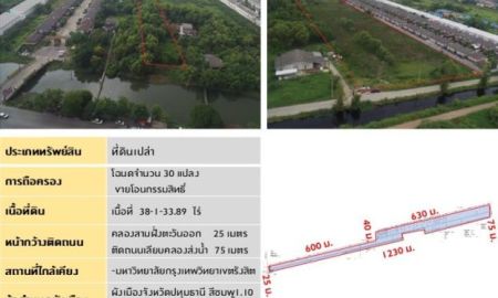 ขายที่ดิน - ขายที่ดินคลองสามฝั่งตะวันออก อําเภอคลองหลวง จังหวัดปทุมธานี