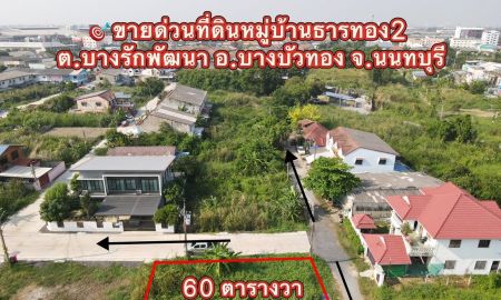 ขายที่ดิน - ขายถูกที่ดินแปลงเล็ก 60 ตรว.หมู่บ้านธารทอง ต.บางรักพัฒนา บางบัวทอง นนทบุรี