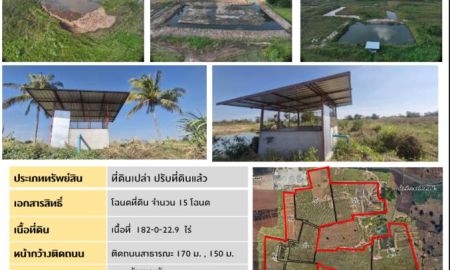 ขายที่ดิน - ขายที่ดิน ที่ดินด่านขุนทด แปลง B ถนนสาธารณะ