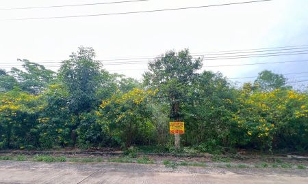 ขายที่ดิน - ขายที่ดินเปล่า ในโครงการเวลเนสซิตี้ บางไทร พระนครศรีอยุธยา