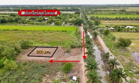 ขายที่ดิน - Vายด่วนที่ดินคลอง 8 เนื้อที่ 100 ตรว. หนองเสือ ปทุมธานี