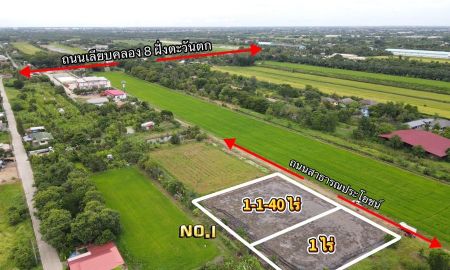 ขายที่ดิน - ขายที่ดินทำเลดี 1 ไร่ คลอง 8 หนองเสือ ปทุมธานี
