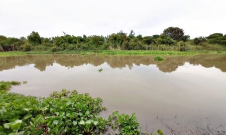 ขายที่ดิน - ขายที่ดินริมคลองธรรมชาติ วิวคลองสวย ฝั่งติดคลองกว้างถึง 68 ม. ด้านหน้าติด ถ.ทางหลวงชนบทกว้าง 71 ม. เหมาะปลูกบ้าน ค้าขาย