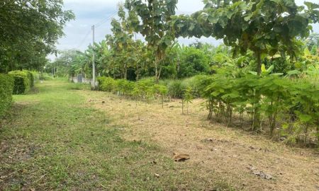 ขายที่ดิน - ที่ดินสวนผสมผสาน นครนายก 1 ไร่ ต้นไม้เยอะมีน้ำไฟฟ้า ราคาถูก