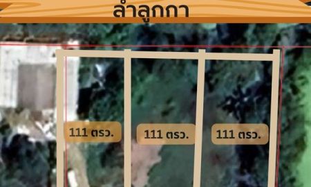 ขายที่ดิน - โอกาสดีสำหรับคนหาที่ดินสร้างบ้านหรือเก็บลงทุน คลอง 12 ต.พืชอุดม อ.ลำลูกกา จ.ปทุมธานี