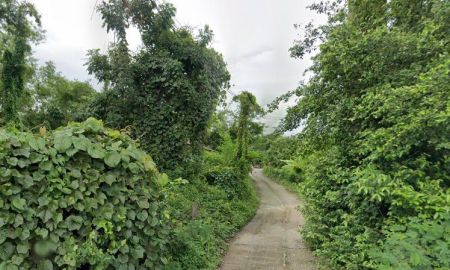 ขายที่ดิน - ขายที่ดินดงละคร 61 ตรว. ติดถนนคอนกรีต ใกล้ถนนเส้น3076-1กม. เมืองนครนายก