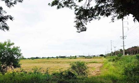 ขายที่ดิน - ขายที่ดินติดถนน 340 แปลงใหญ่ บางปลาม้า สุพรรณบุรี