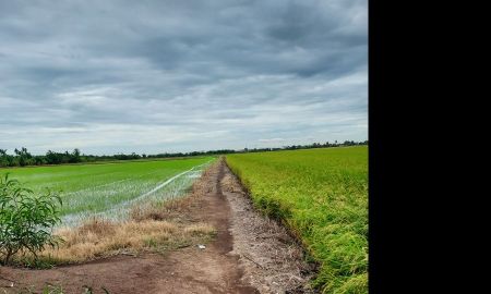 ขายที่ดิน - ขายที่ดินเปล่า 32 ไร่ ติดถนนสายลาดบัวหลวง-บางเลน อ. บางเลน ใกล้โรงงานเบียร์สิงห์