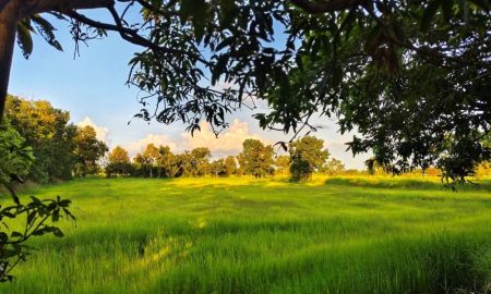 ขายที่ดิน - ขายที่ดินเปล่าขนาด 18 ไร่ 2 งาน 84 ตารางวา อำเภอเมืองชัยภูมิ ทำเลดี บรรยากาศร่มรื่น ใกล้โลตัสและโรงพยาบาลชัยภูมิ