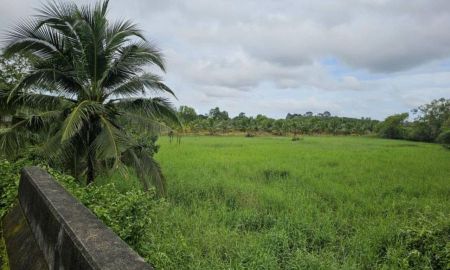 ขายที่ดิน - ขายที่ดินเปล่าสวยบรรยากาศดี อำเภอเมือง ตราด 3-3-89 ไร่